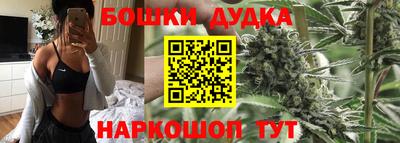 спиды Будённовск