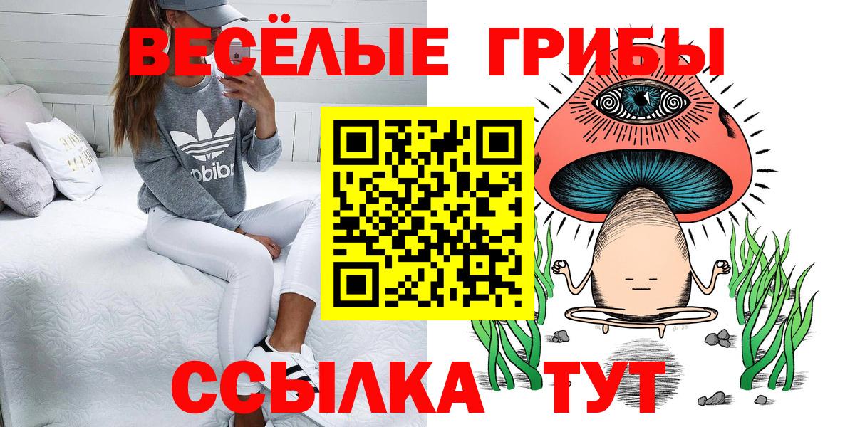Псилоцибиновые грибы MAGIC MUSHROOMS Можга