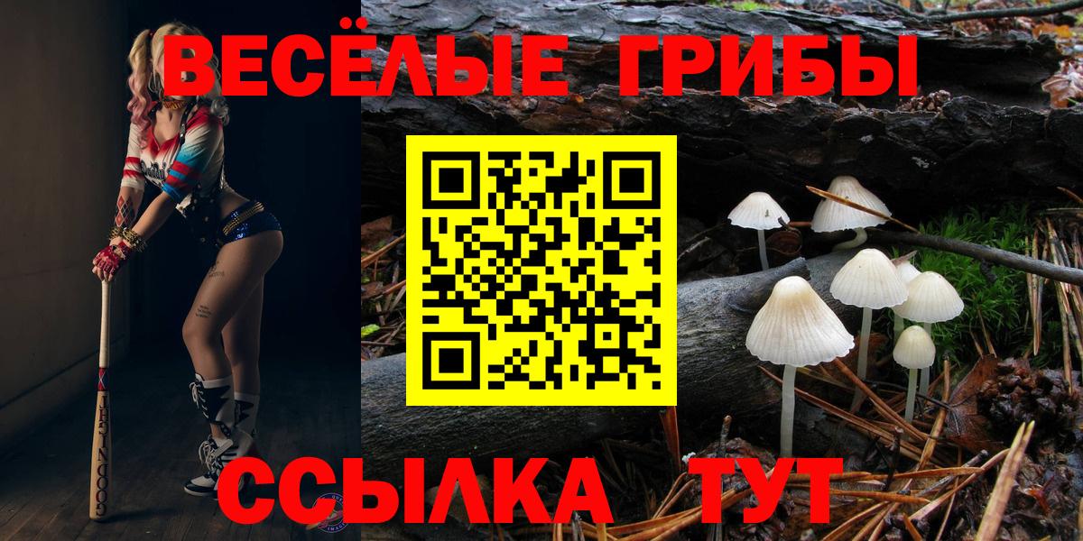 Можга  Галлюциногенные грибы прущие грибы  Вход с VPN 